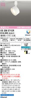OS256571CR