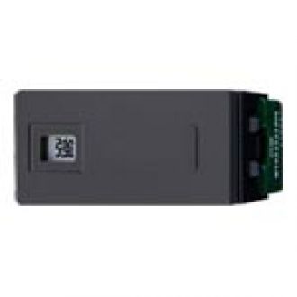 WTA525233HK