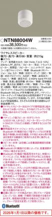 NTN88004W