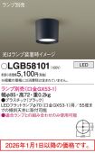 LGB58101