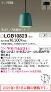 LGB10829