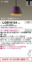LGB16124