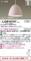 LGB16747