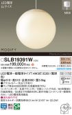 SLB19391W