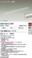 DSY-5613AW