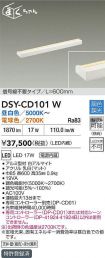 DSY-CD101W
