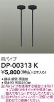 DP-00313K