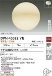 DPN-40022YE