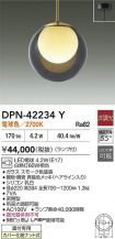 DPN-42234Y