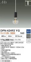 DPN-42492YG