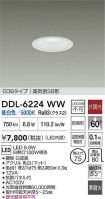DDL-6224WW