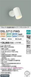 DSL-5713FWG