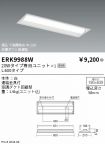 ERK9988W