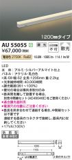 AU55055