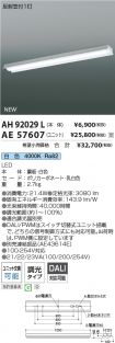 AH92029L-...