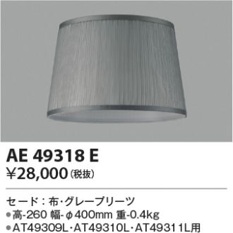 AE49318E