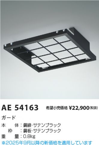 AE54163