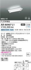 KAR46967L1