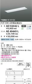 AE49445L