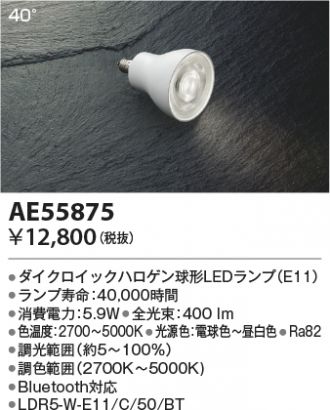 AE55875