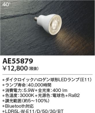 AE55879