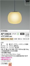 AP54824