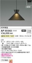 AP55543