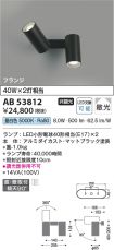 AB53812