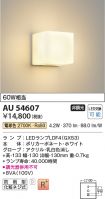 AU54607