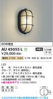 AU45055L