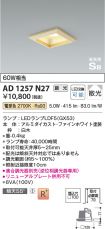 AD1257N27