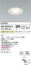 AD45816L