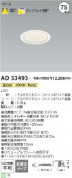 AD53493