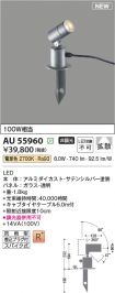AU55960