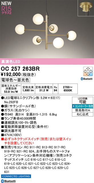 OC257263BR