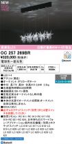 OC257269BR