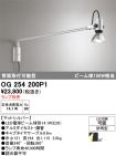 OG254200P1