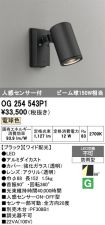 OG254543P1