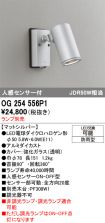 OG254556P1
