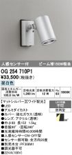 OG254710P1