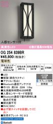 OG254839BR