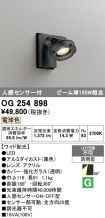 OG254898
