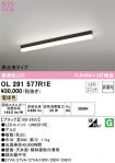 OL291577R1E
