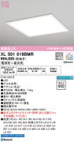 XL501019BMR