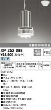 XP252098