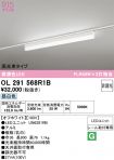 OL291568R1B