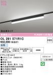OL291571R1C