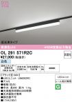 OL291571R2C