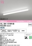 OL291573R1B