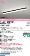 OL291576R1M